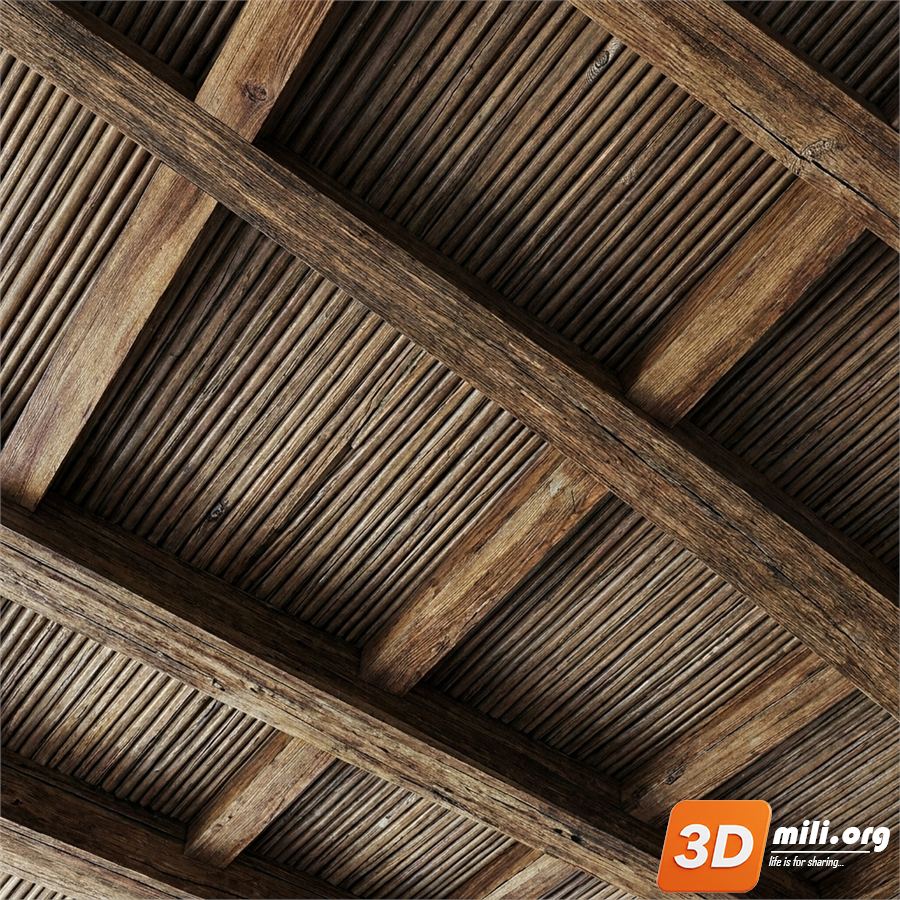 Ceiling Decoration Skp Files